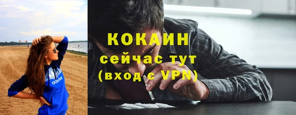 бошки Ельня
