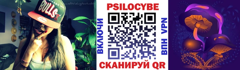 Галлюциногенные грибы Psilocybe  Светлогорск 