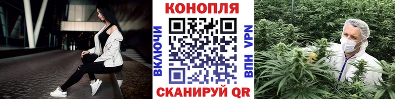 blacksprut зеркало  продажа наркотиков  Светлогорск  Шишки марихуана план 
